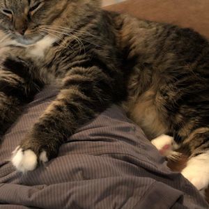 Meet your Posher, Nancy